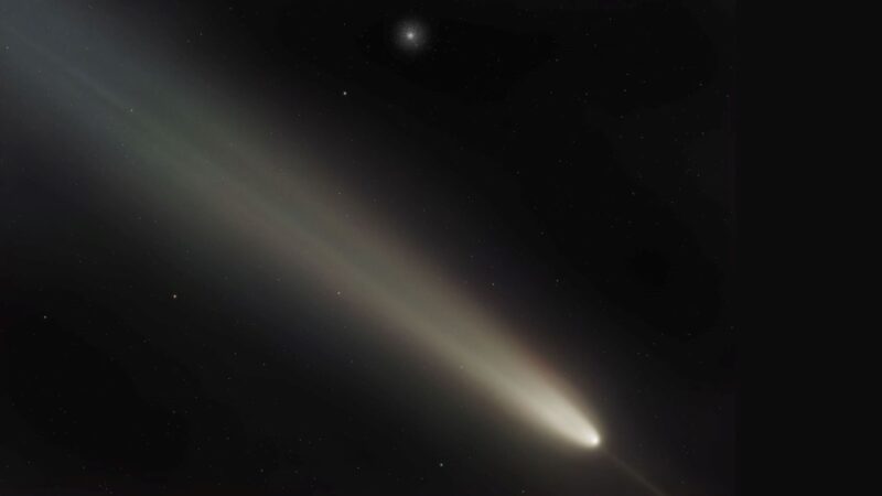 A comet with a fuzzy tail and thin light coming out the front and a small ball of stars above it.