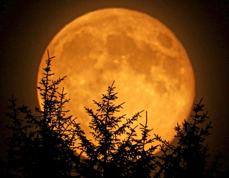 Is The Moon Orange Is The Moon Orange