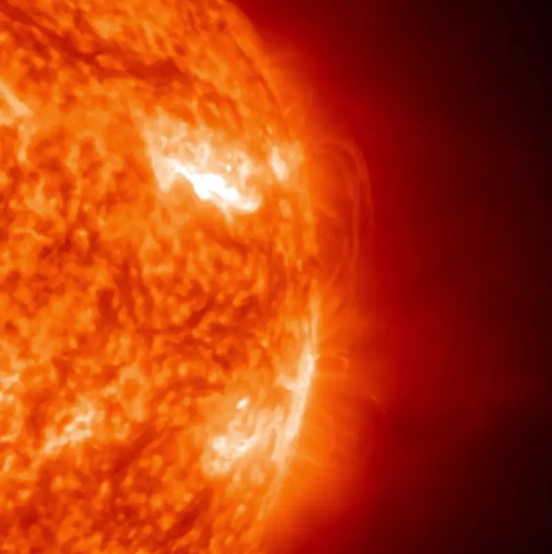 Plumes of orange gases writhe above the surface of the sun.