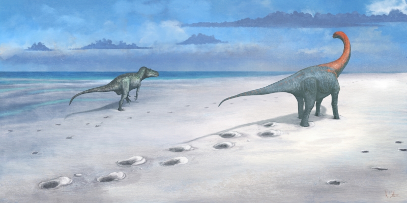 Two dinosaurs, 1 long-necked and 1 2-legged carnivorous dinosaur, walking side by side on a beach, leaving footprints.