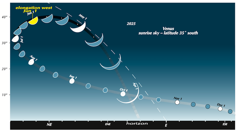 News Sciences Start Watching For Venus Brightest In The Morning Sky News Sciences Start Watching For Venus Brightest In The Morning Sky