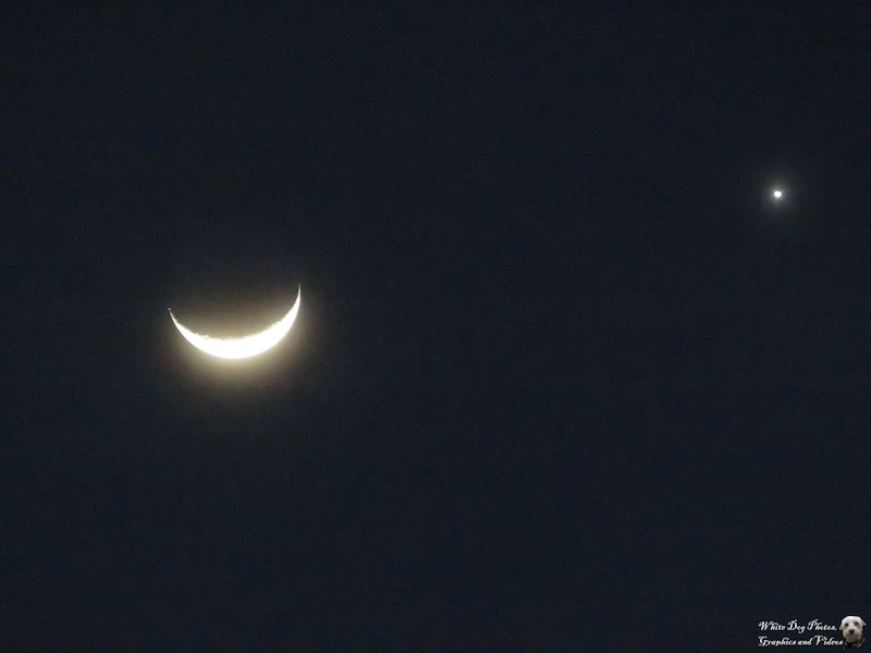 Dark sky, crescent moon and bright dot that is Venus.