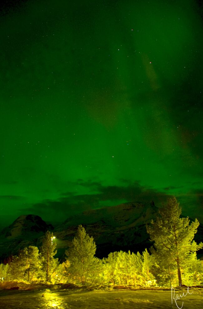 A sky green with auroras.