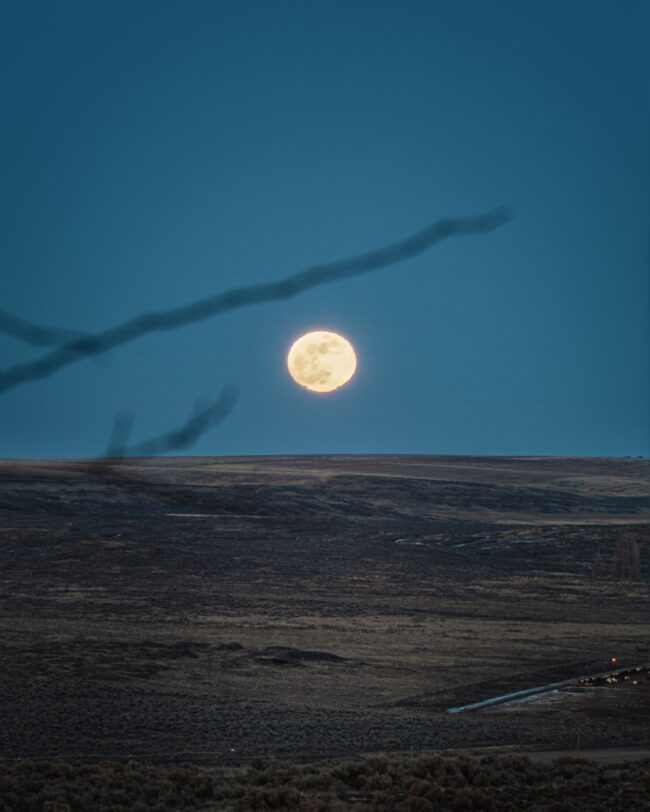 Full moon close to the horizon. There is a branch out of focus in the foreground.