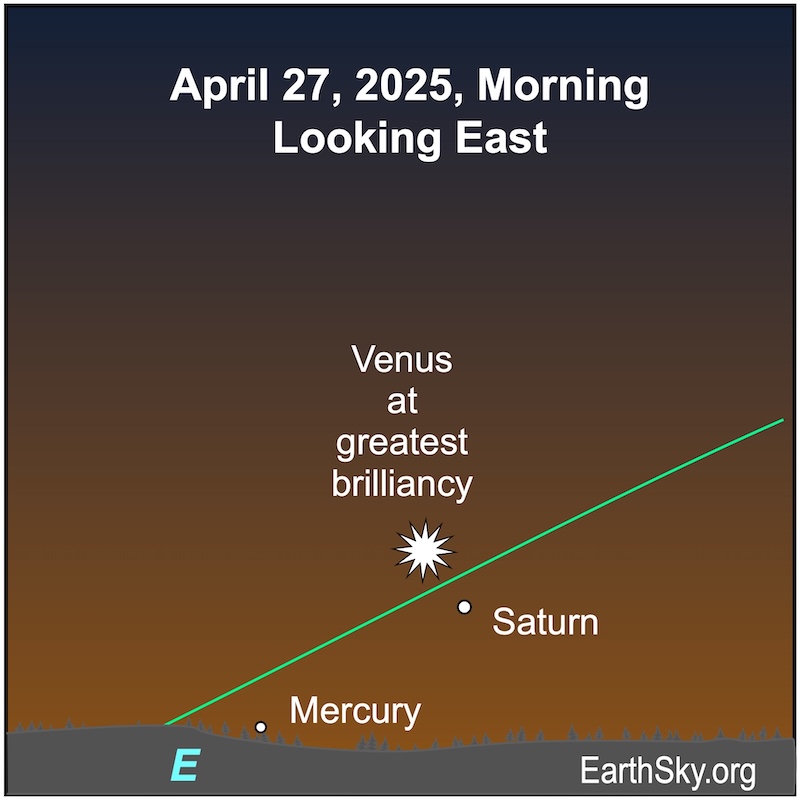 Chart with a starred dot representing Venus sitting above a small dot representing Saturn and another dot representing Mercury. Both dots are close to the horizon.