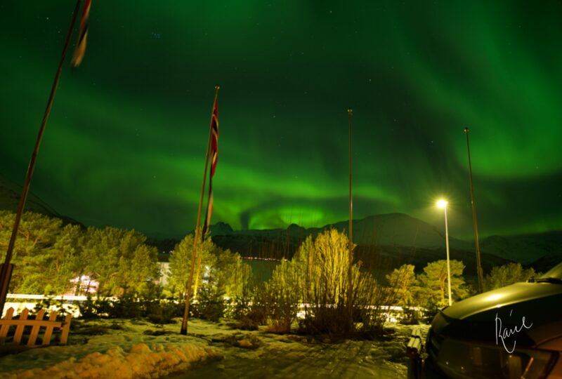 Green auroras filling sky above some small houses.