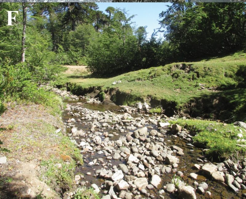 A river with many rocks inside. There are soft hills to the sides, with many green bushes and trees.