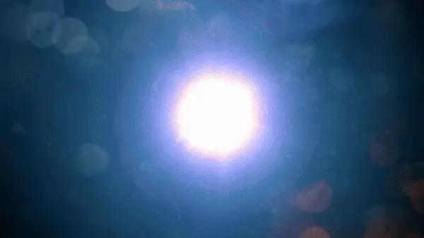 A star exploding very fast, from bright white to a white sphere to an orange fireball.