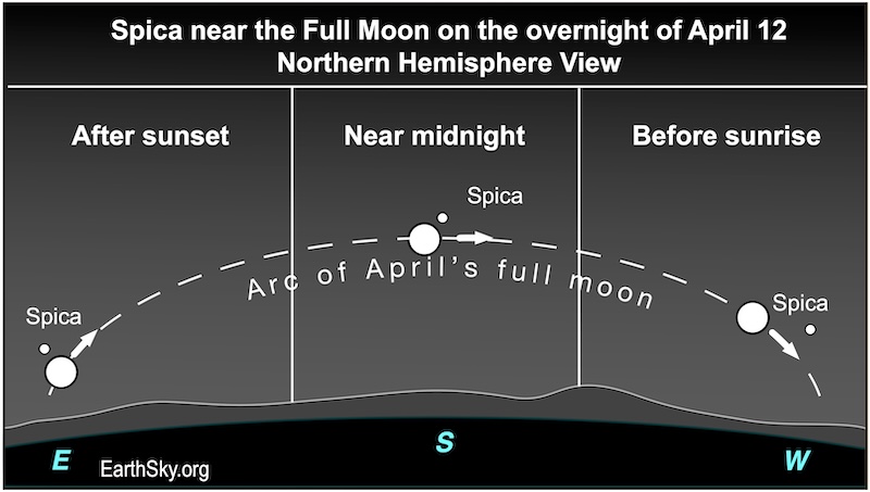 Sky chart with full moon and Spica along a low dotted arc, at 3 times during the night.