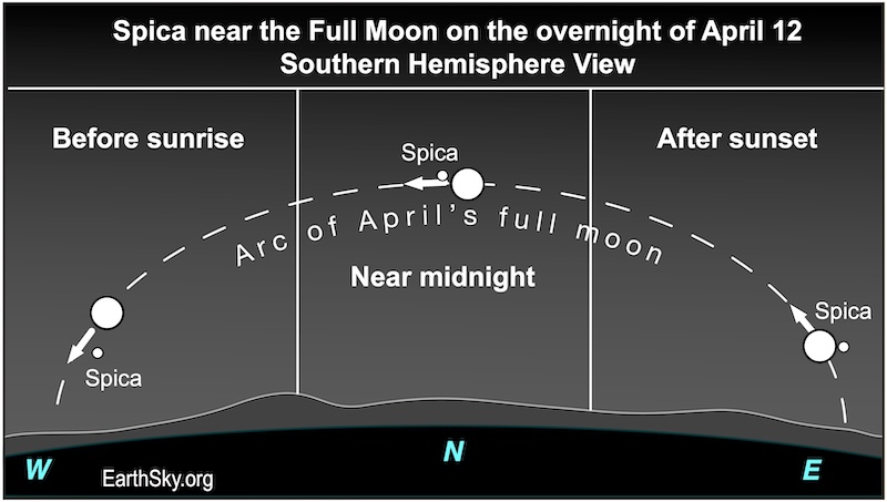 Sky chart with full moon and Spica along a high dotted arc, at 3 times during the night.