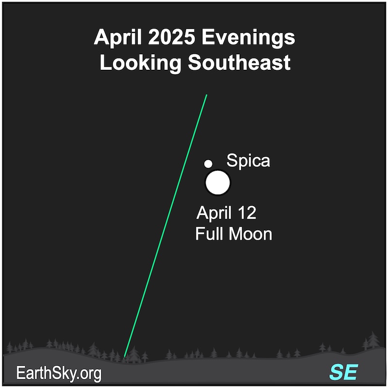 Sky chart: the full moon, very close to the star Spica, both along the steep ecliptic line.
