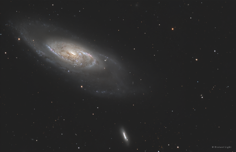 Bluish hamburger-shaped galaxy, a spiral seen edge-on, with a dark lane and foreground stars.
