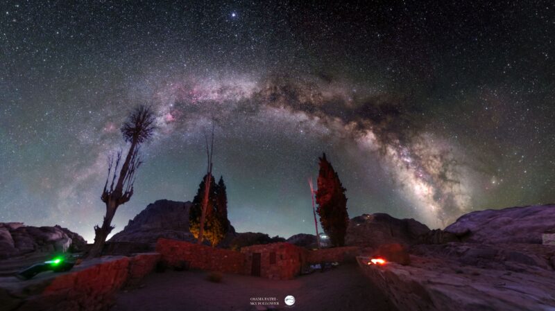 Various dark foreground trees with a starry cloud arching over the background.