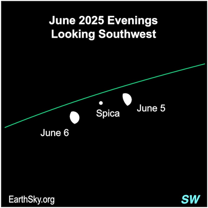 A fat hemisphere, the moon, passes a dot, the star Spica.