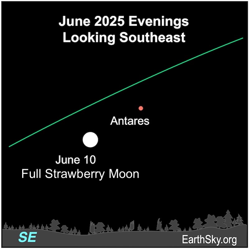 Full Strawberry moon as a white dot near a red dot for Antares.