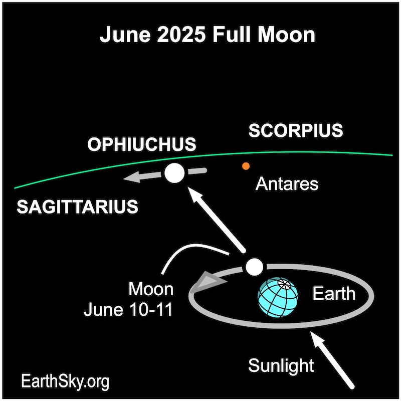 Chart showing an arrow passing a disk representing Earth then passing a smaller disk representing the moon. The arrow is directed left of a dot, the star Antares.