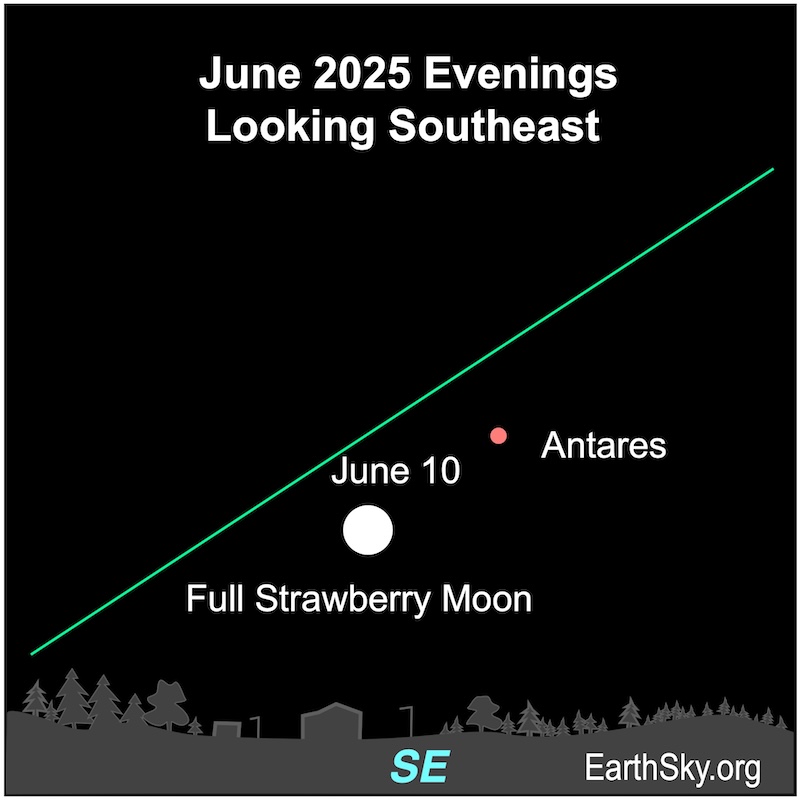Chart showing a disk, the full moon, to the lower left of a small dot, the star Antares. They are both above a wavy line representing the horizon.