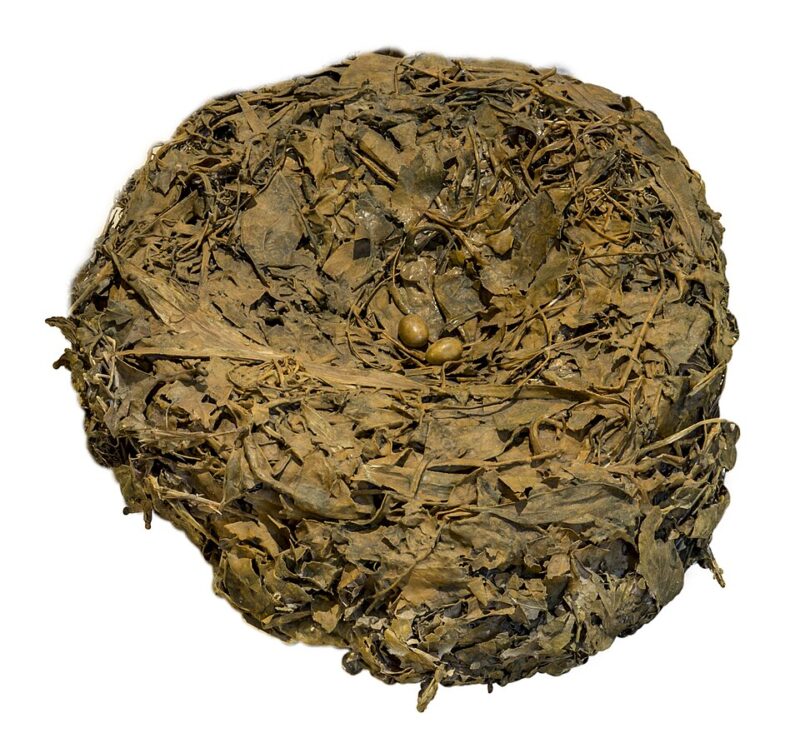 Many brown leaves put together creating a circle. There are 2 brown, small eggs in the middle.