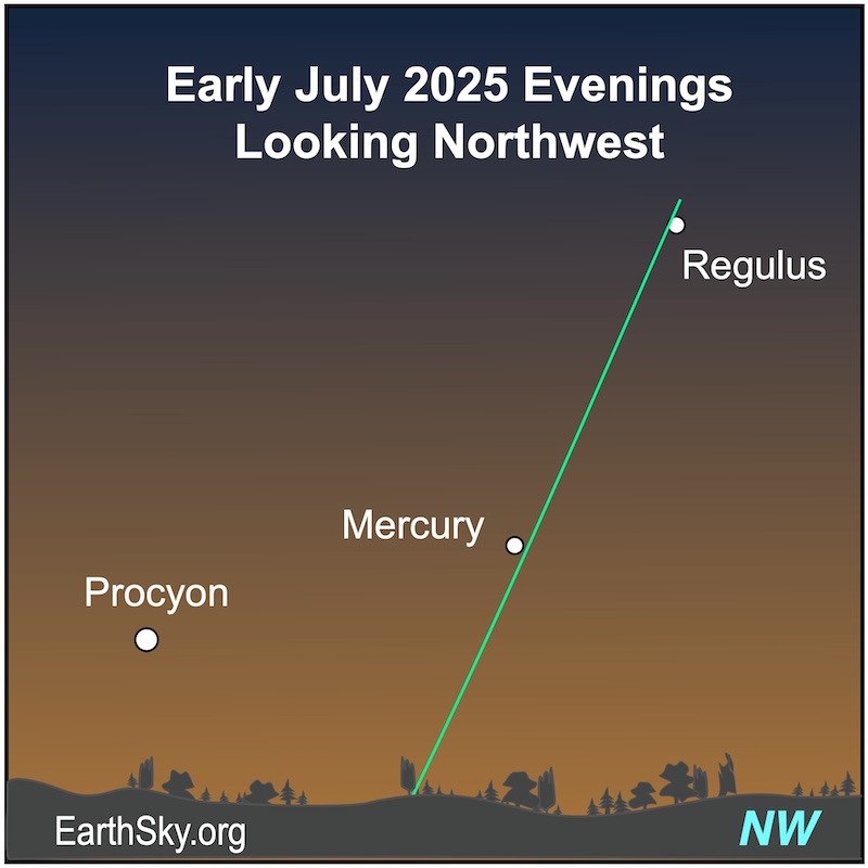 A dot, Mercury, is above a wavy line, the horizon and below another dot, the star Regulus. A third larger dot, the star Procyon, is to the first dot's left.