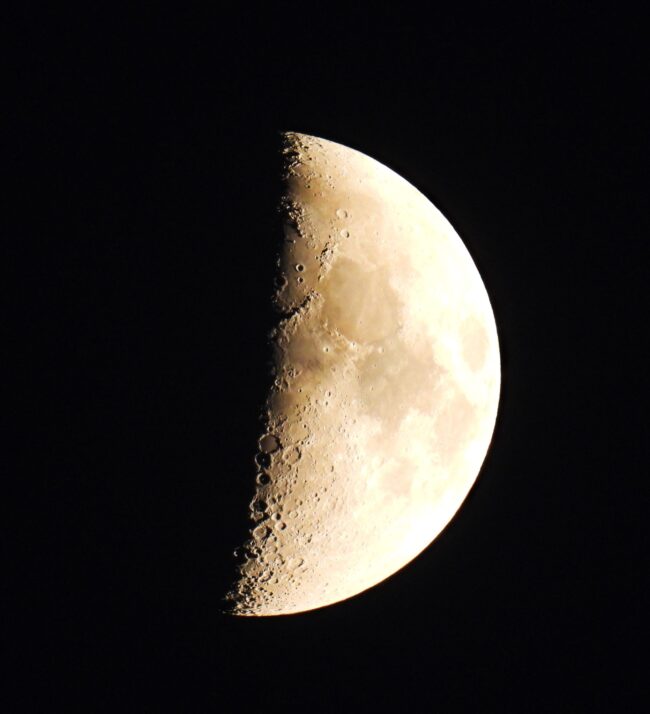 A half-lit moon with craters popping up along the line dividing day and night.