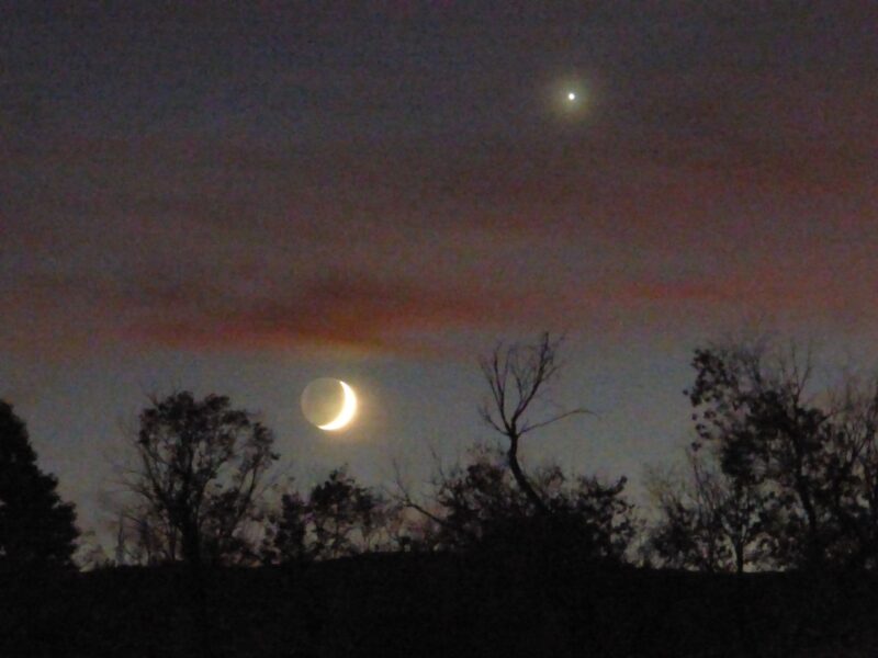 Evening sky with dark trees, crescent moon, and bright point of light.