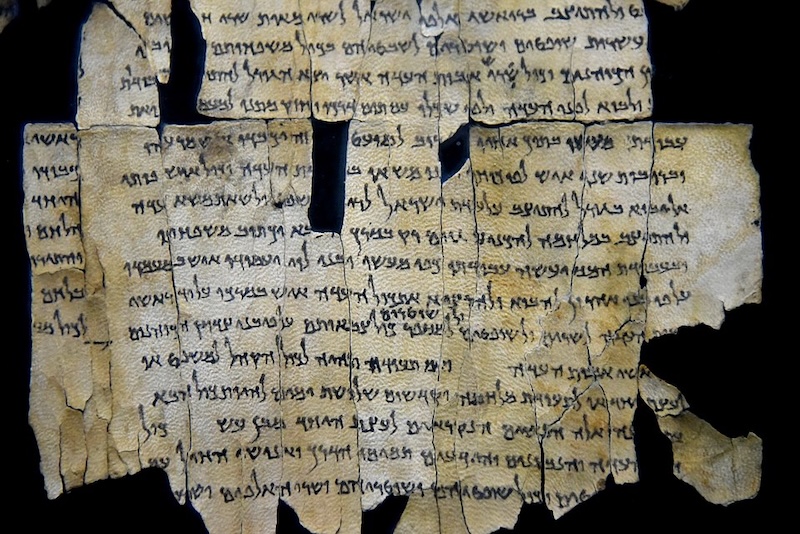 A light beige parchment with pale brown stains, pieced together, covered in clear writing in black ink.