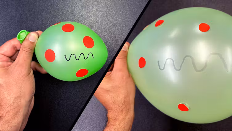 Balloon with red dots and a squiggle on the surface, lightly inflated and then much more blown up.