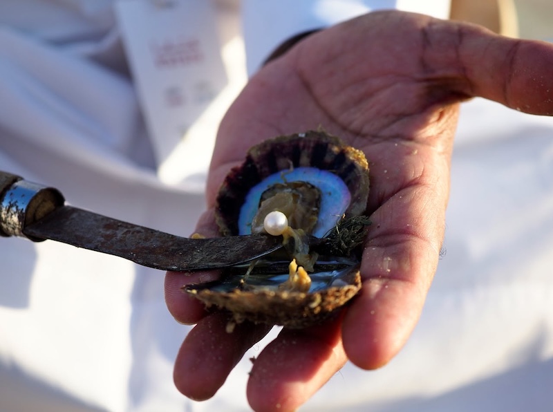 A hand holding an open oyster, prying out a pearl with a blade.