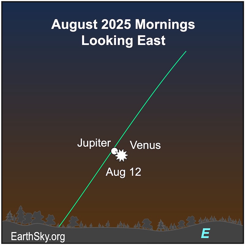 A dot, Jupiter, is next to a starred dot, Venus. They are both above a wavy line, the horizon.