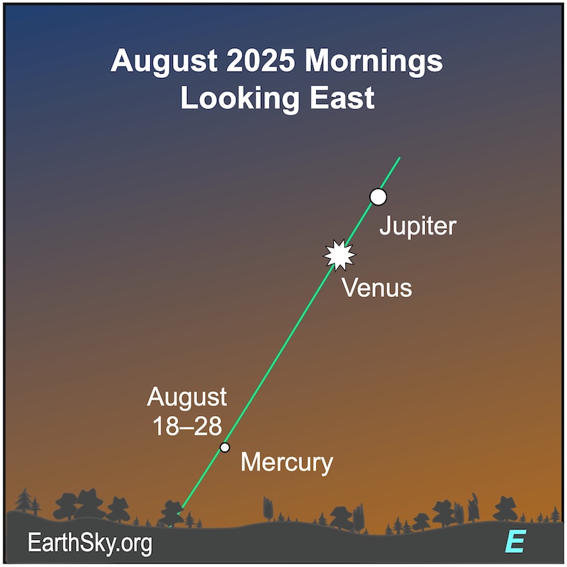 Star chart for Northern Hemisphere viewers showing a dot, Jupiter, above a starred dot, Venus. Both are above a small dot, Mercury, which lies immediately above the wavy line of the horizon.