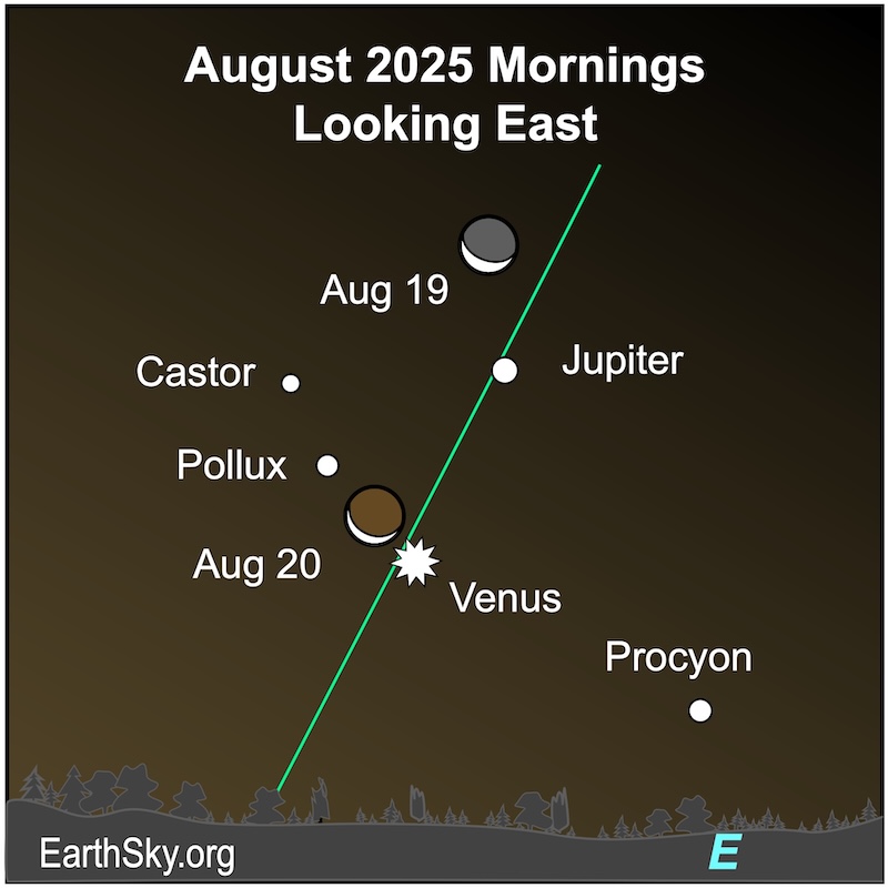 A crescent shape, the moon, is above a dot, Jupiter, which is above a starred dot, Venus. To their left are two small dots, the stars Castor and Pollux, and to their lower right is another dot, the star Procyon. They all are above a wavy line, the horizon.