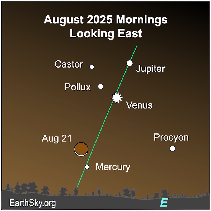 A thin crescent shape, the moon, is above a small dot, Mercury, which lies above a wavy line, the horizon. Above them all is a starred dot, Venus, and a dot, Jupiter.