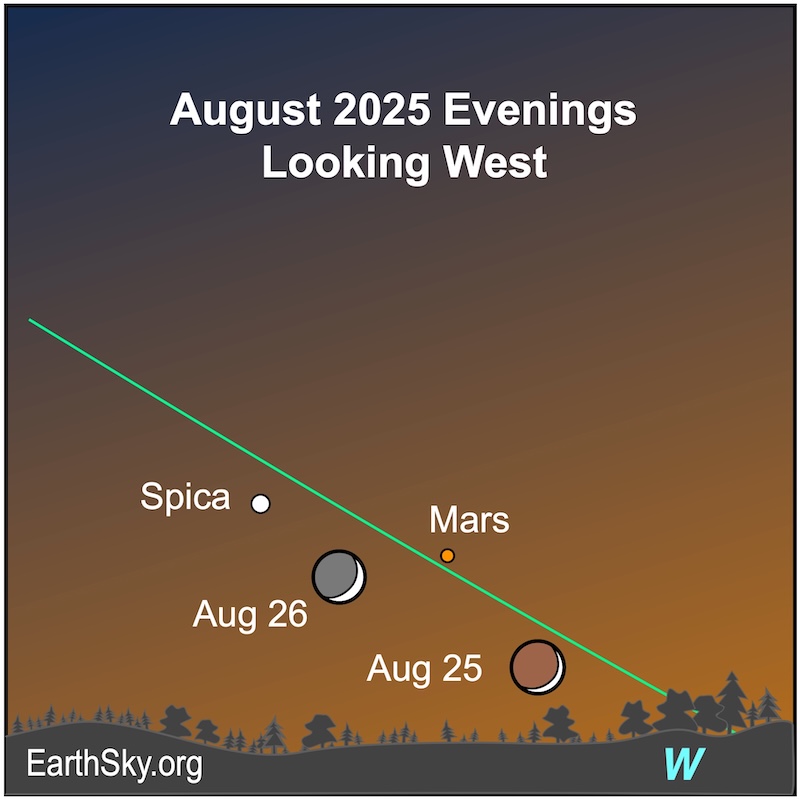 A thin crescent shape, the moon, is above a wavy line, the horizon. Above it is a dot, Mars, and to their left is another dot, the star Spica. On the next evening, the crescent shape moves between the two dots.