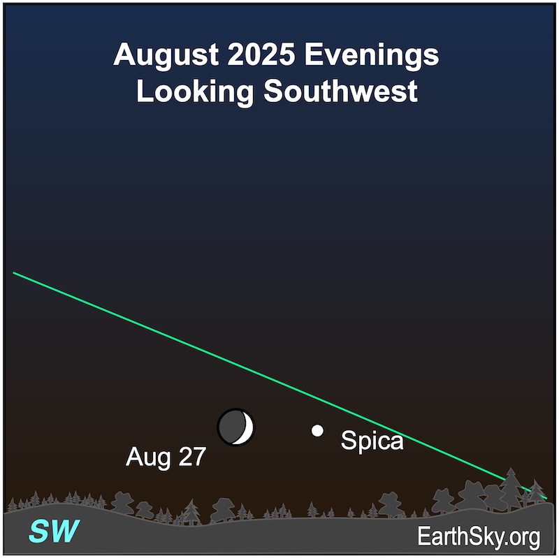 A crescent shape, the moon, is left of a dot, the star Spica. They are both above a wavy line, the horizon. above a wavy line, the horizon.