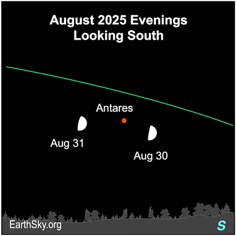 A hemisphere, the moon, is west of a dot, Antares. On the next evening, it is east of the dot.