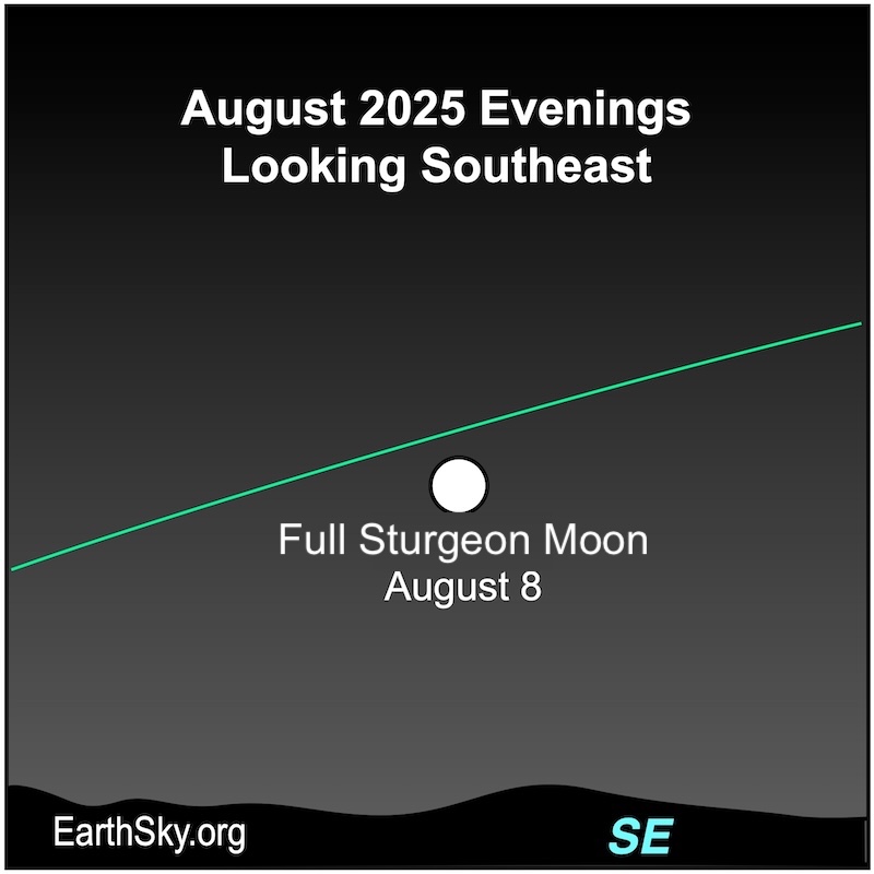 Large white dot for the full Sturegon Moon on August 8.