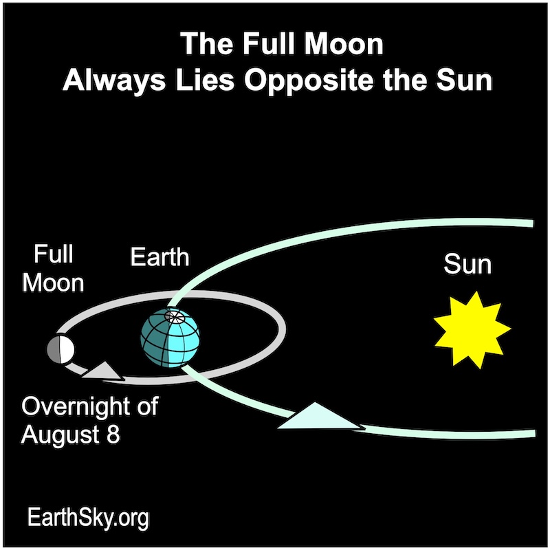 Diagram with  the sun, Earth, and moon lined up so that the moon's lit side faces Earth.