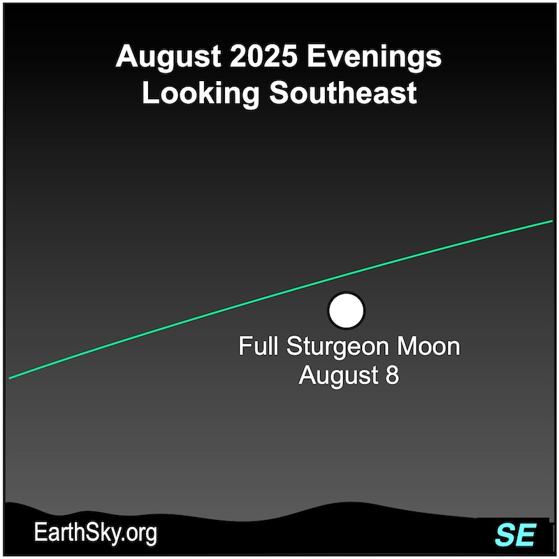 A disk, the august full moon, lies above a wavy line, the horizon.