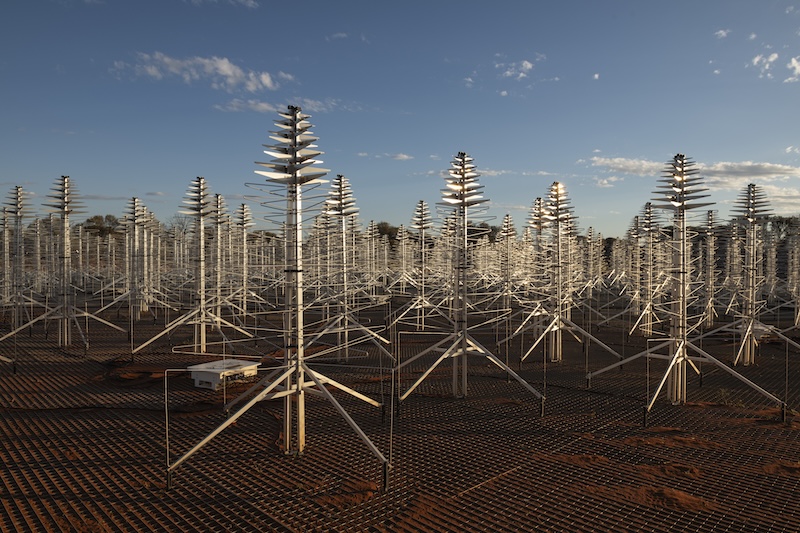 An array of very many conical antennas, looking like metallic pine trees, under a blue sky.