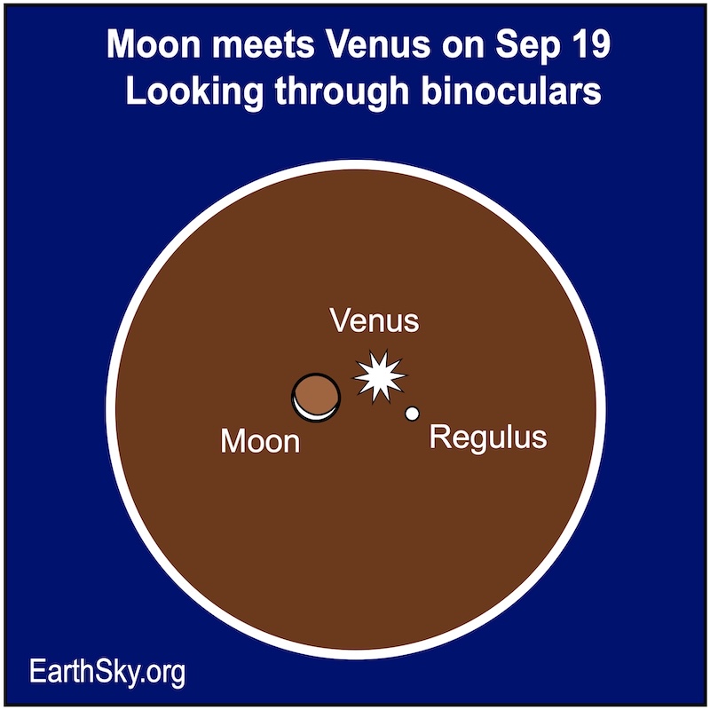 Within a large circle representing the field through binoculars, a crescent shape, the moon, is next to a starred dot, Venus, and a small dot, Regulus.