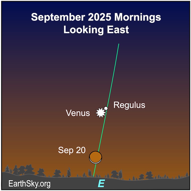 A crescent shape, the moon, lies below a starred dot, Venus, and a dot, Regulus. They all are above a wavy line, the eastern horizon.