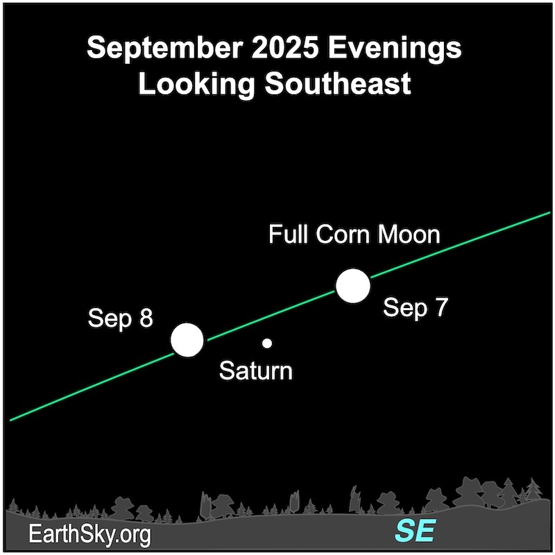 A disk, the full moon, is west of a dot, Saturn. On the next night, it lies east of that dot. They are all above a wavy line, the southeastern horizon.
