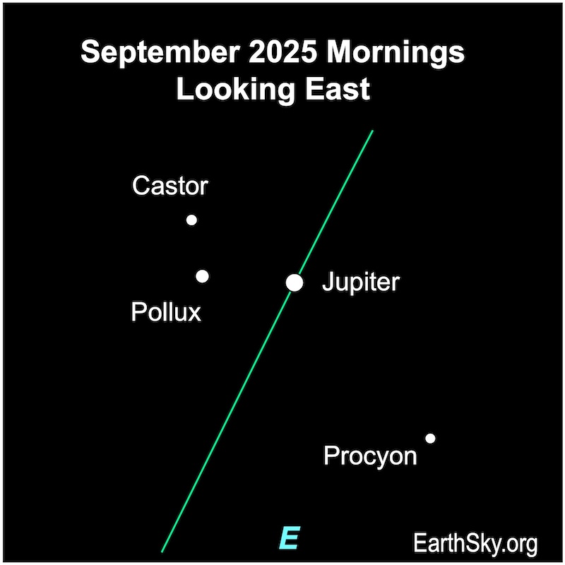 A dot, Jupiter, is right of two smaller dots, Castor and Pollux. They are above and to the left of another dot, the star Procyon next to a starred dot, Venus.