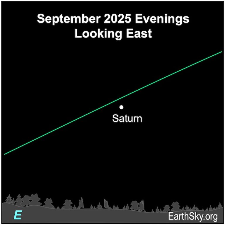 Visible planets and night sky guide for September