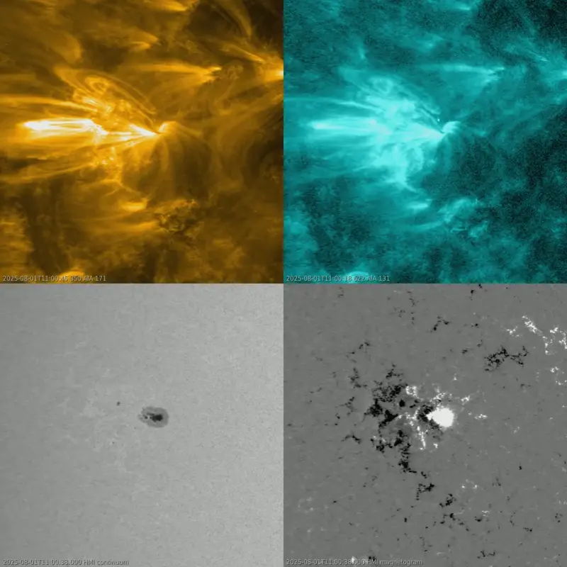sun news
