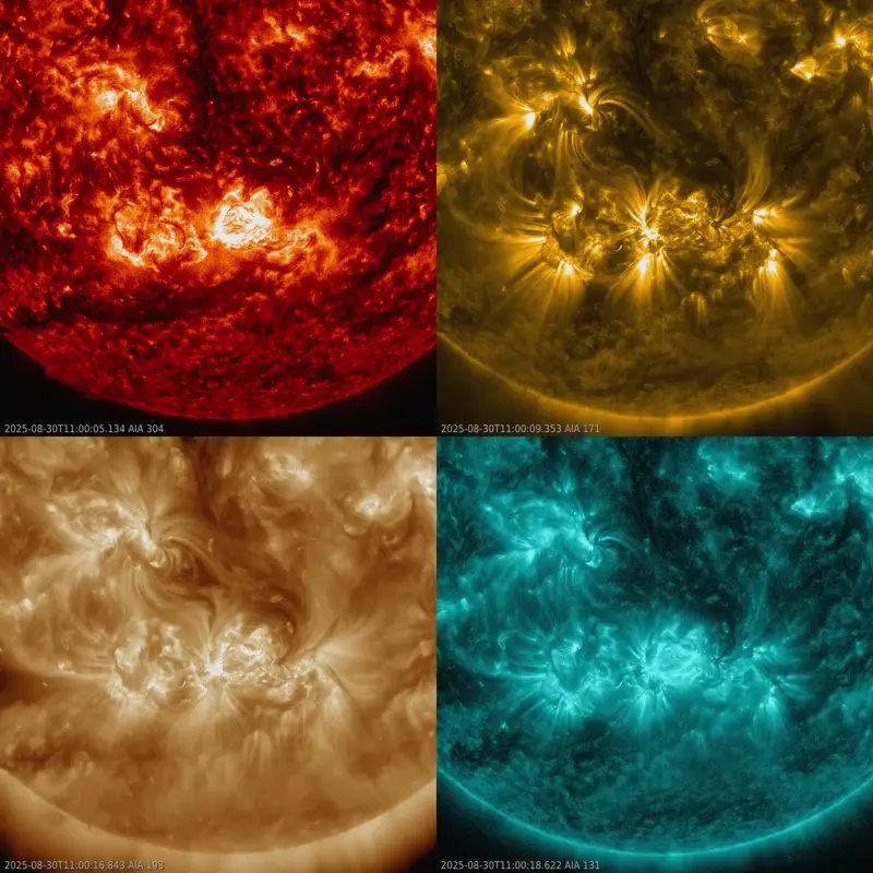sun news