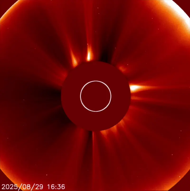 sun news