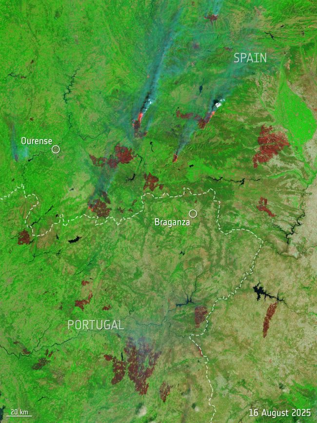 Orbital view of green Earth with brown regions where fires are burning. Spain-Portugal boundary is marked.