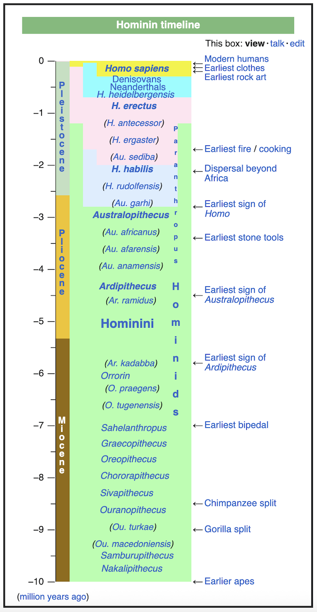 A table listing about 25 species of humans and ancestors in a succession of geologic periods.