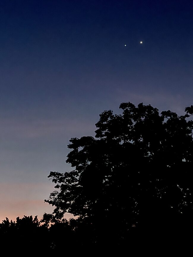 Dark sky with 2 bright dots, one a bit brighter and bigger (Venus). There are trees in the foreground.
